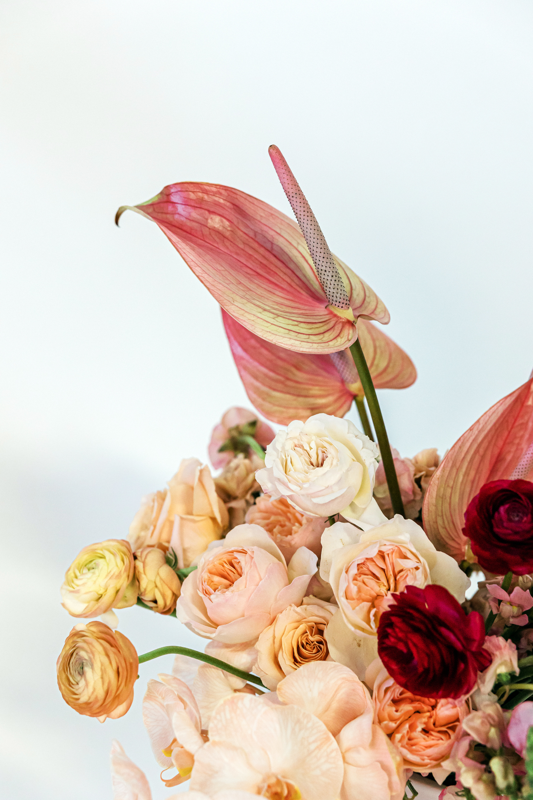 Bouquet of Bright Red and Peach Flowers